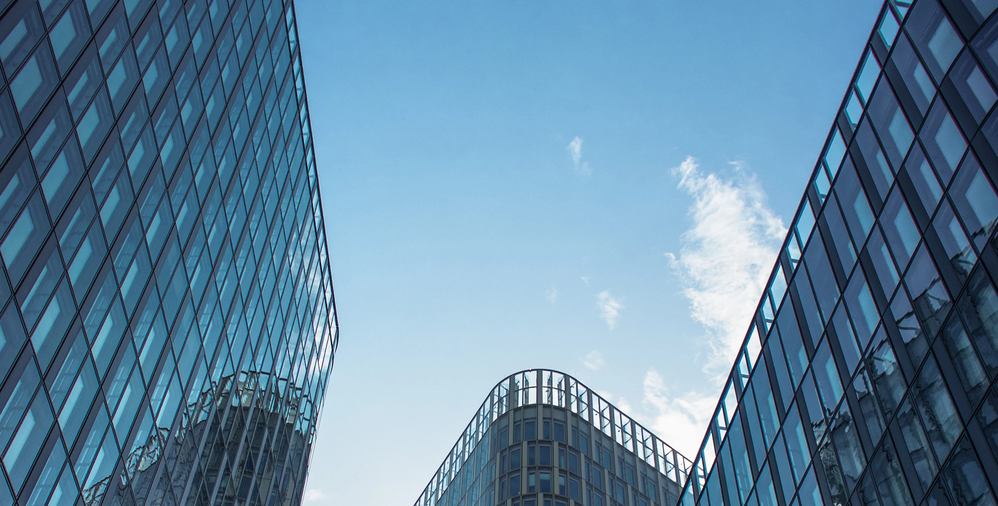 Tło sekcji głównej