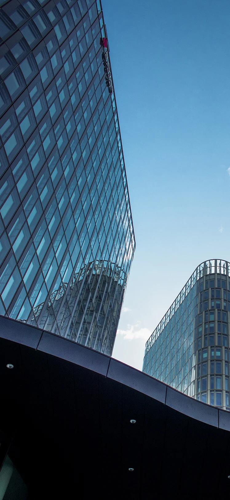 Tło sekcji głównej