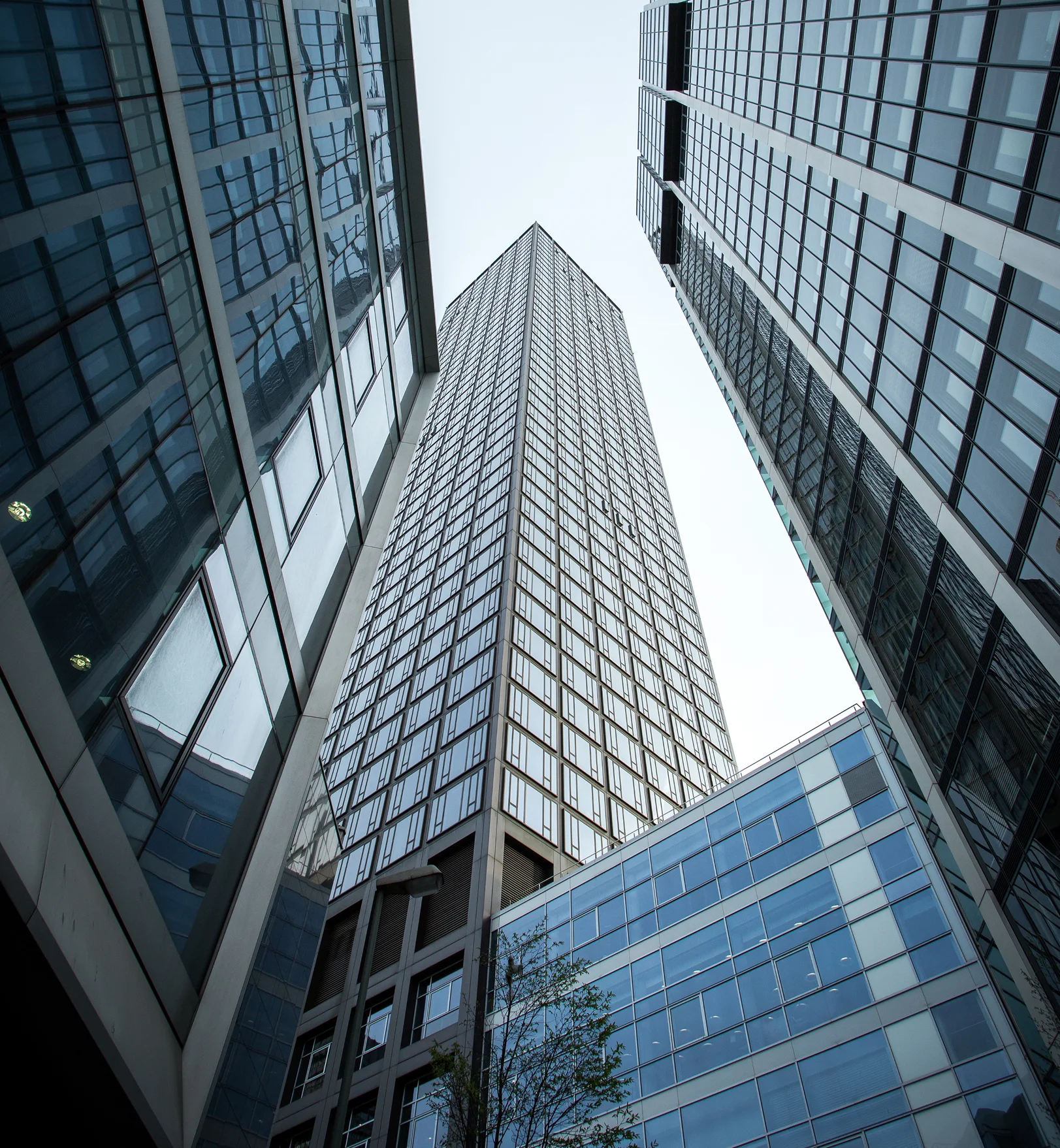 Zdjęcie wyróżniające sekcji