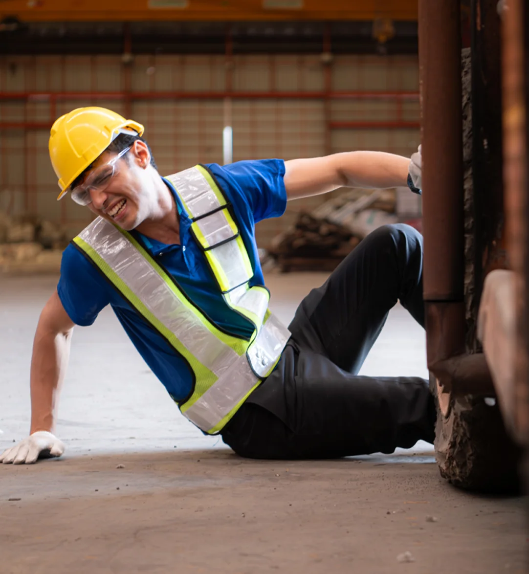 Zdjęcie wyróżniające sekcji
