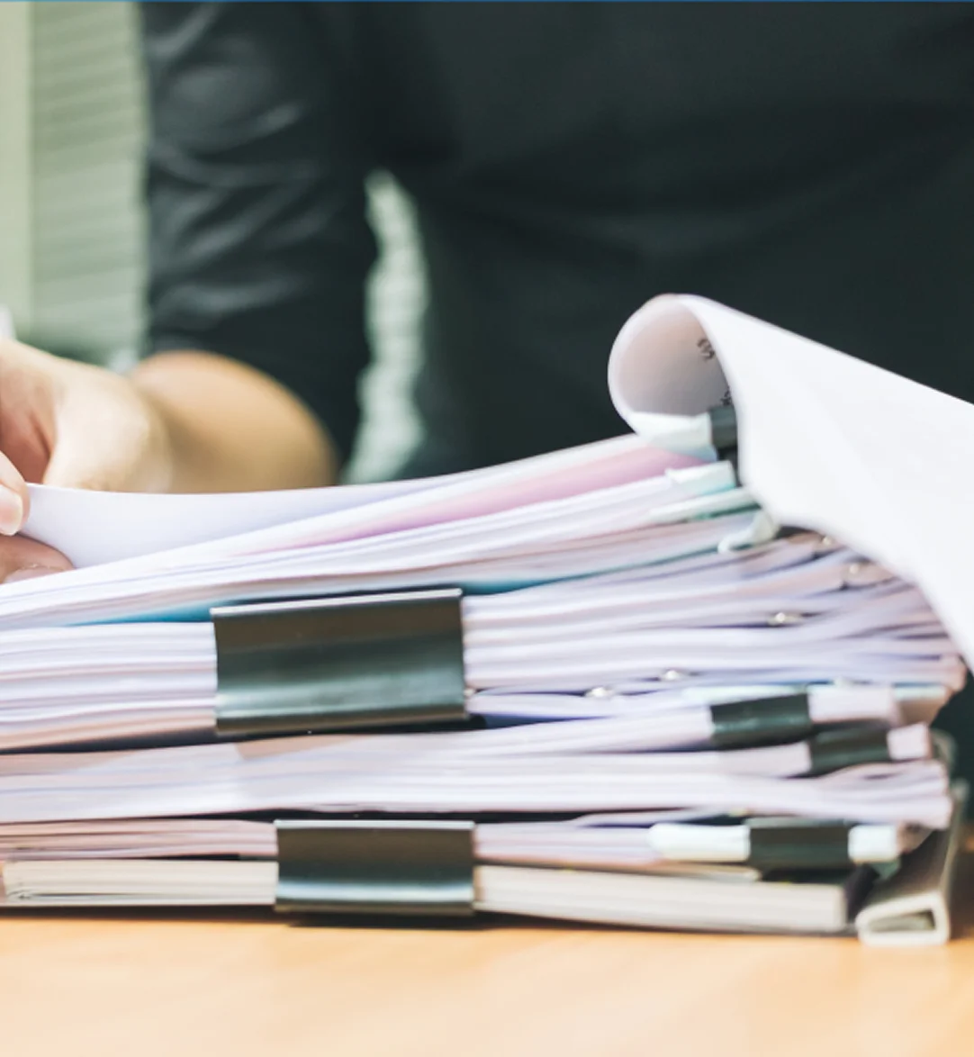 Zdjęcie wyróżniające sekcji